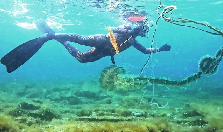 4 metrelik zehirli denizanası böyle görüntülendi