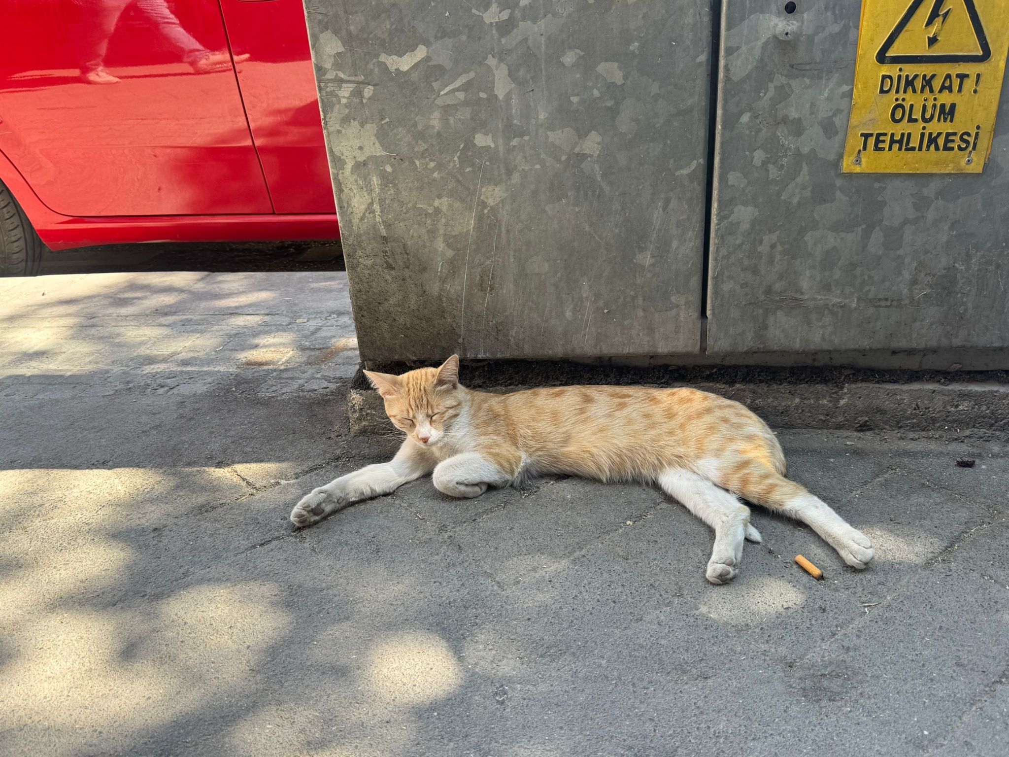 22A36E30 54D7 428E 8A96 698D63D62327