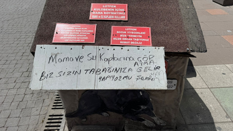 Adsız Tasarım 2025 06 30T130318.513