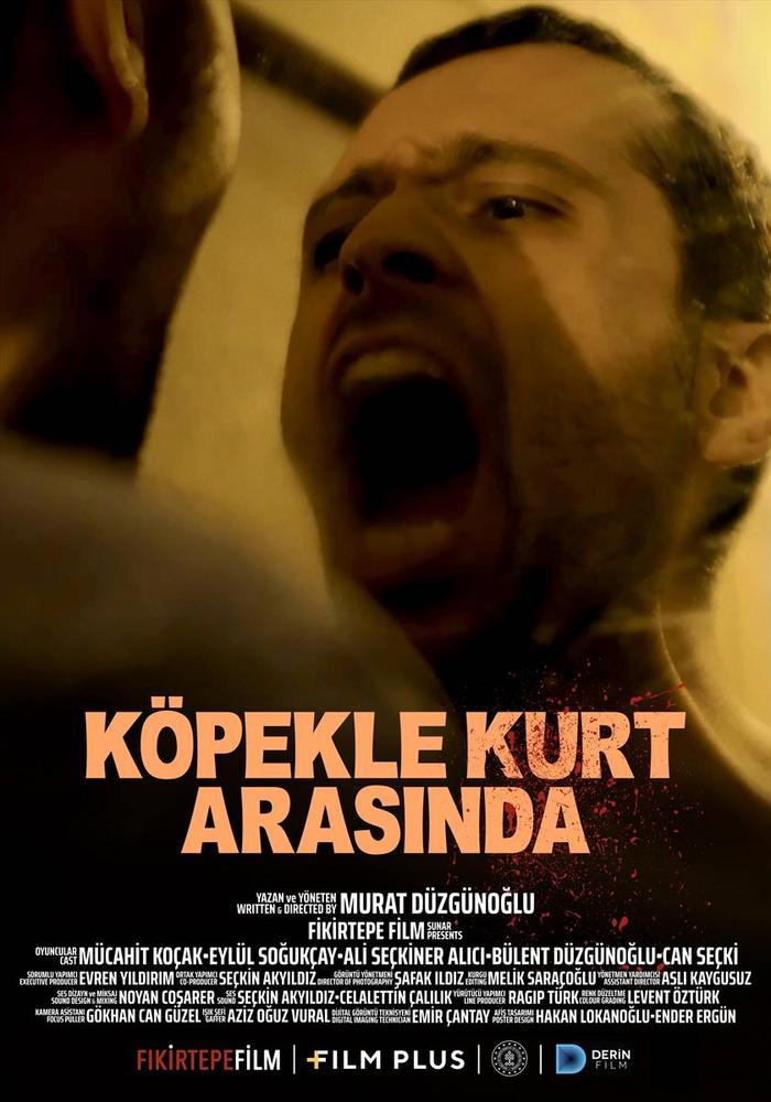 Poster 700X1000 (3)