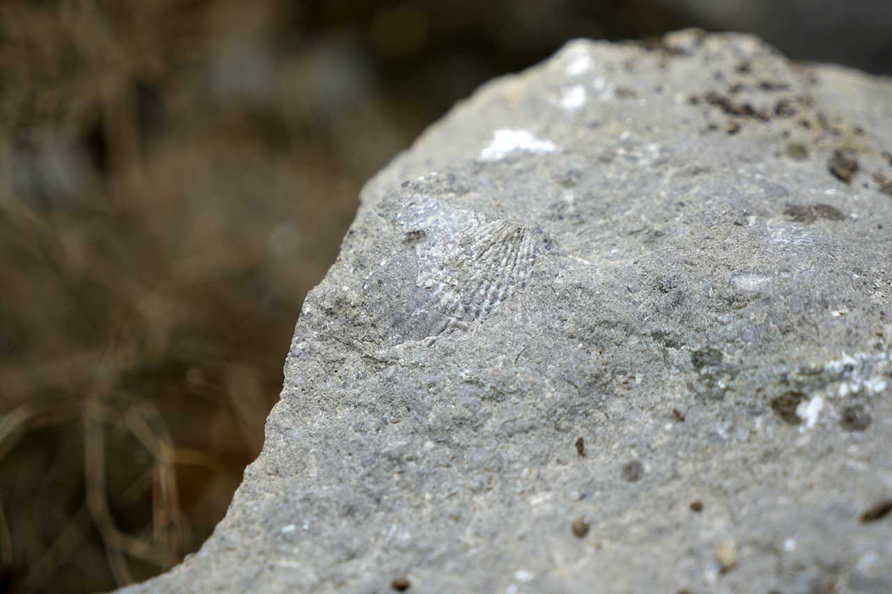 A W536588 03