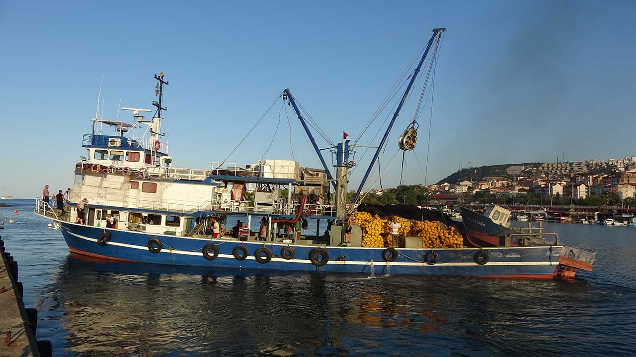 A W538835 05