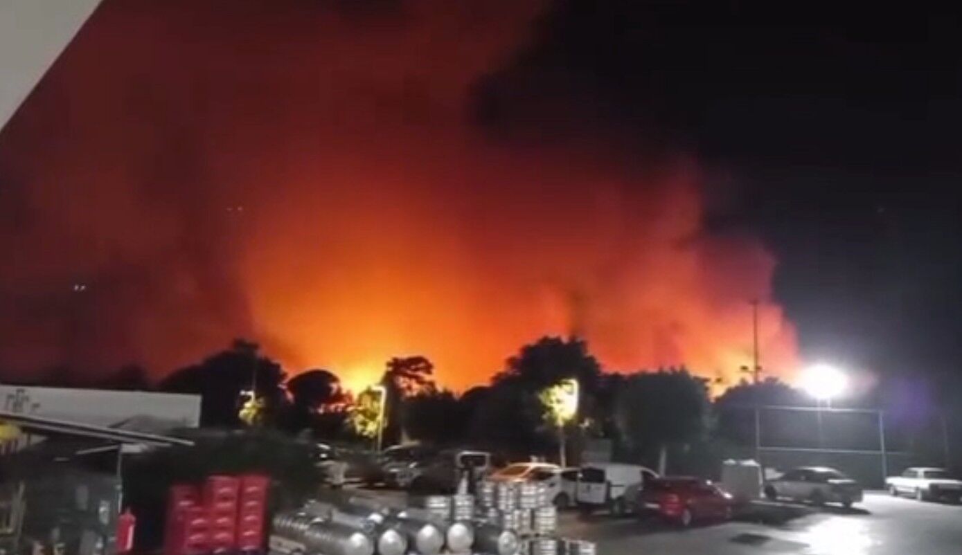 Antalya Aksu'da ormanlık alanda yangın