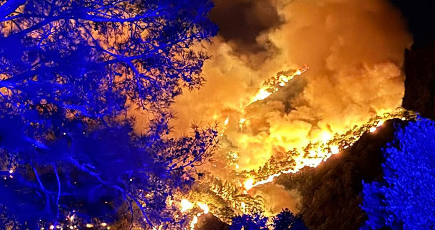 Köyceğiz’deki Yangın 22. Saatine Girdi