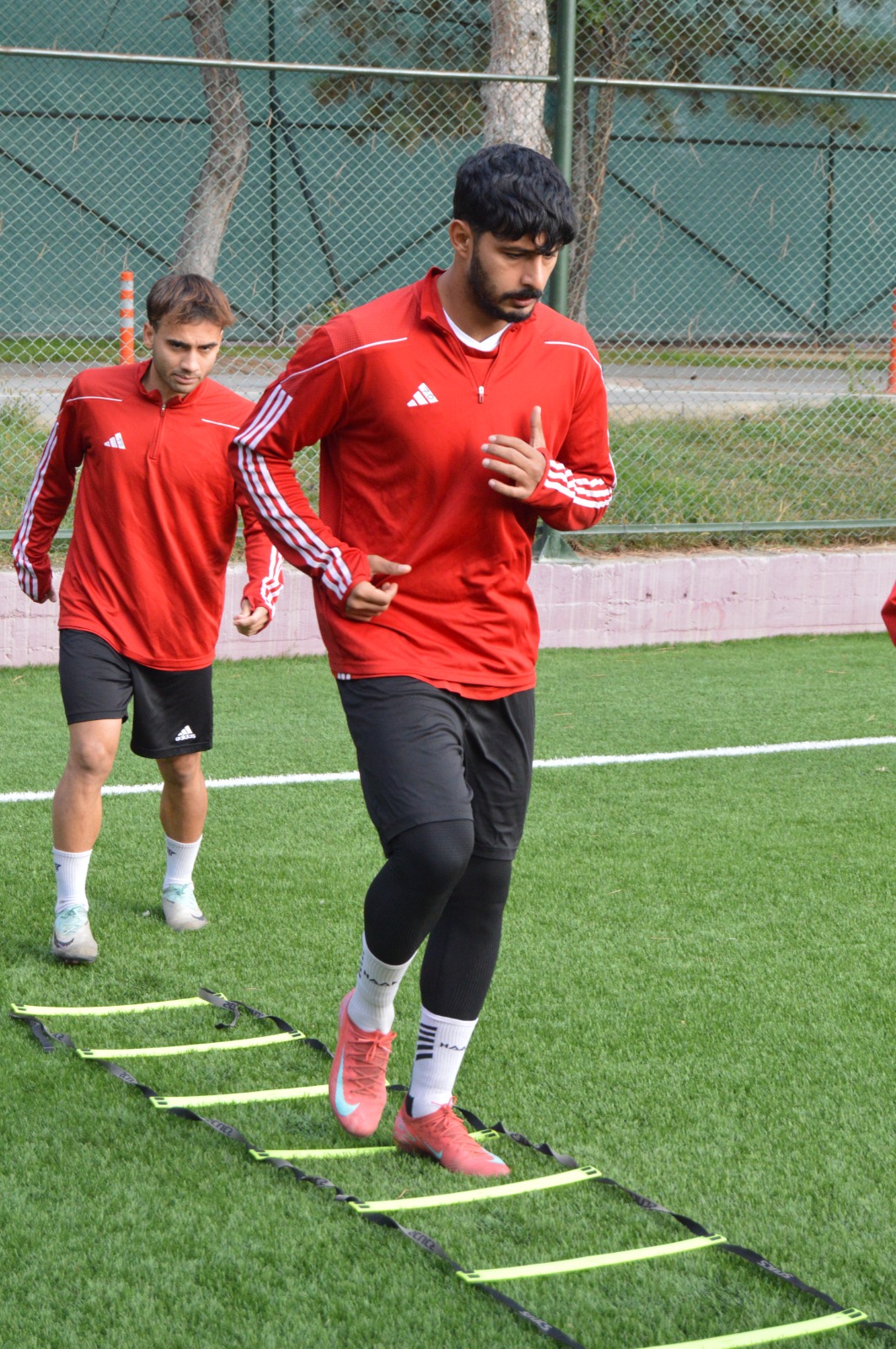 8A726C91 1E1A 4F1F 9D54 816Dcaffbc5E