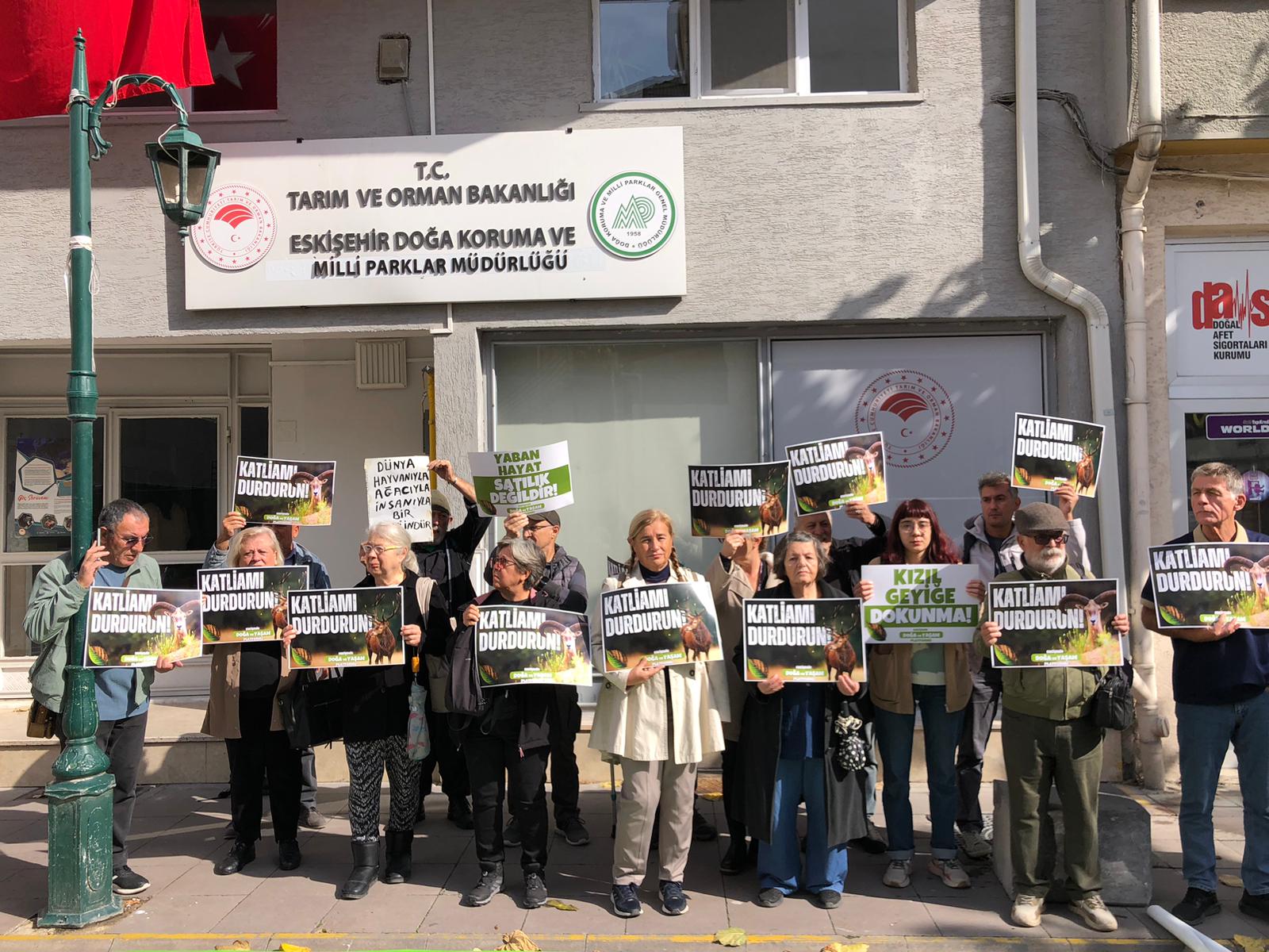 8Acf1432 2D55 4D06 B3F1 E42C27Cb3D55