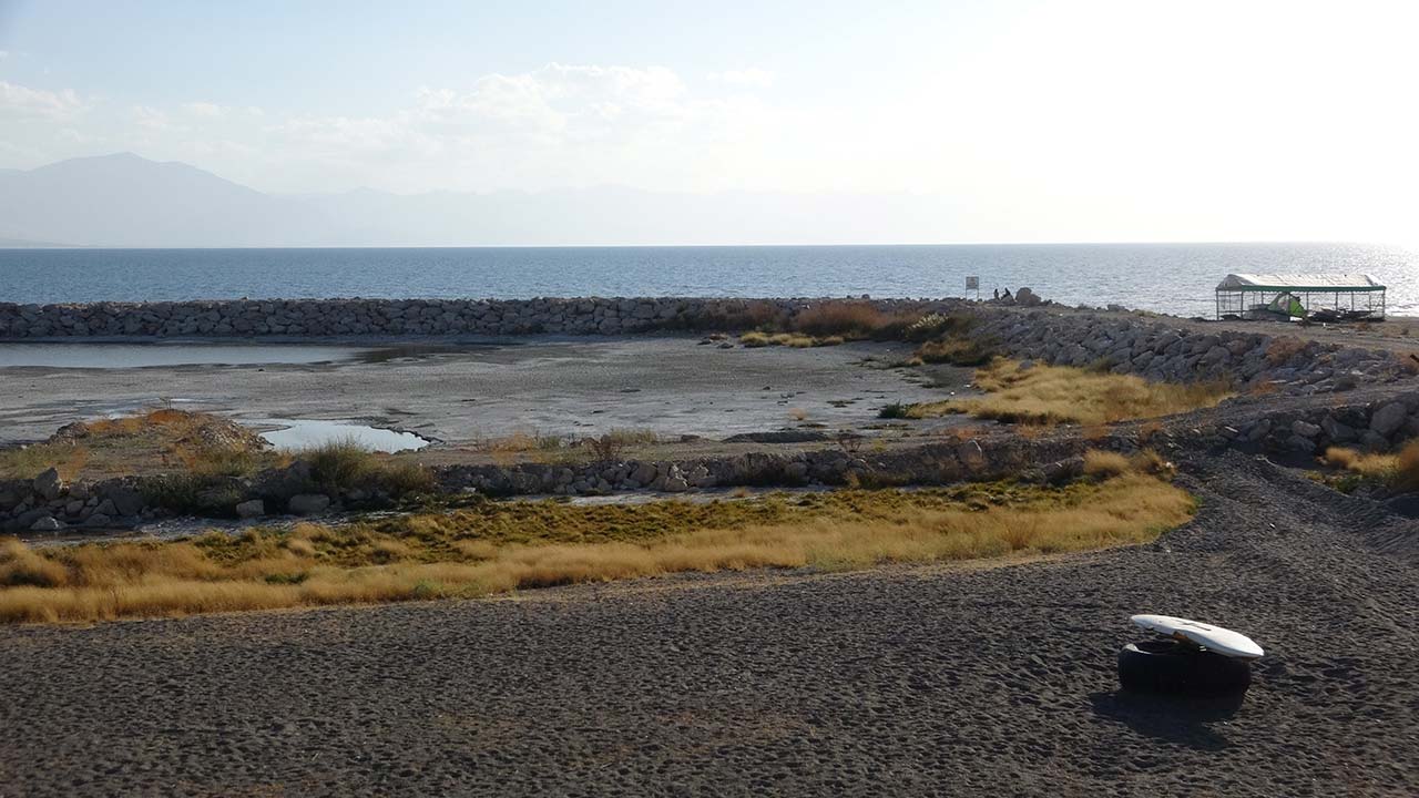 A W557424 01