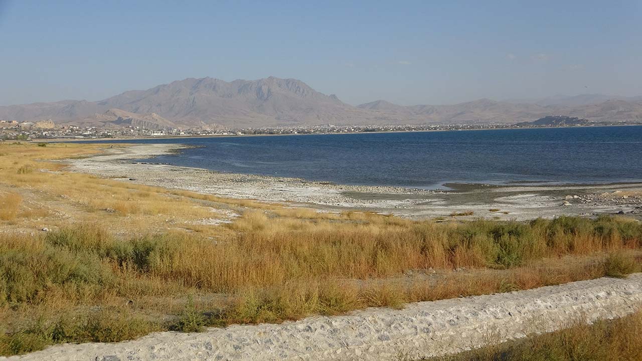 A W557424 06