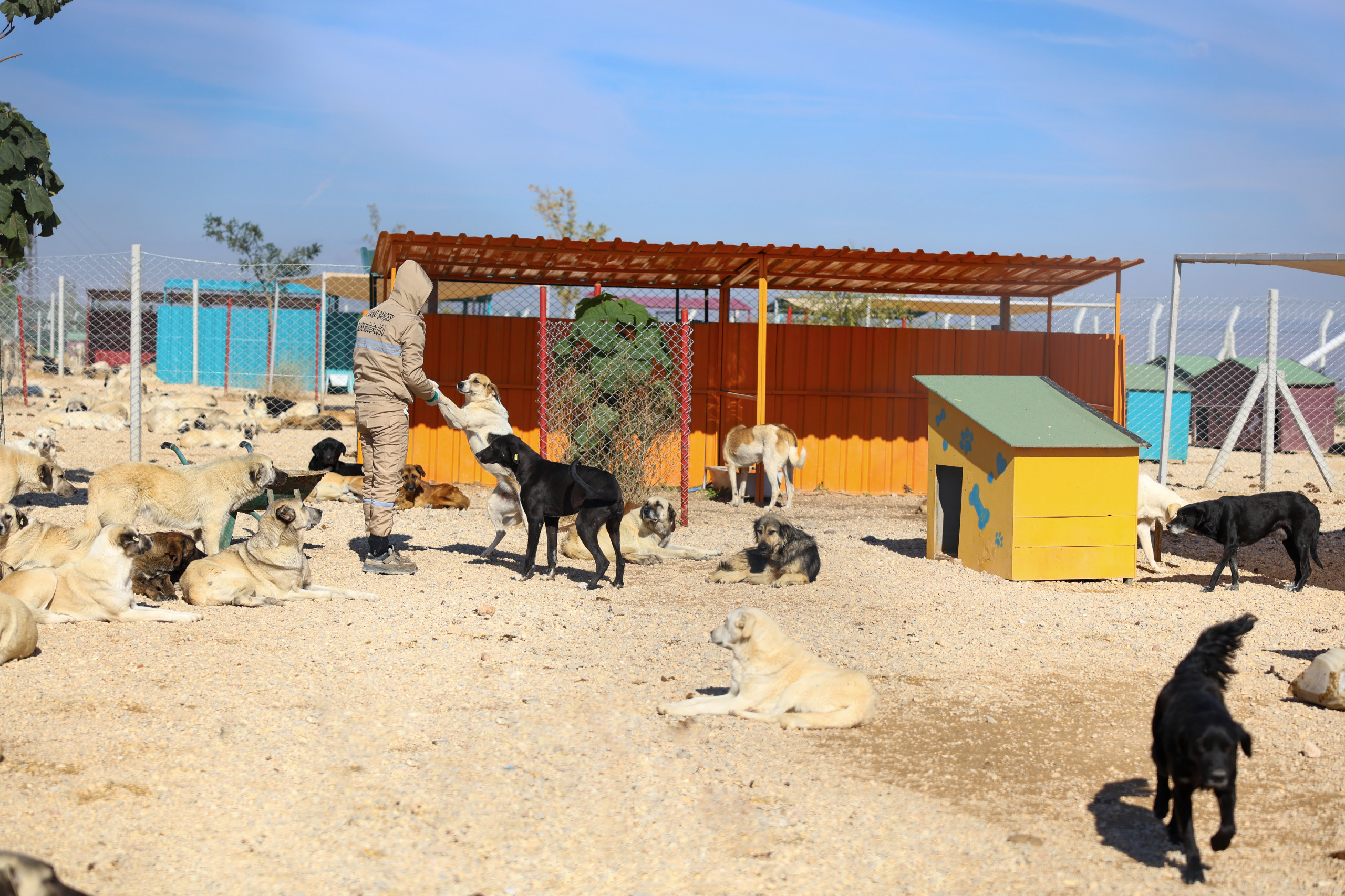 Hayvan Bakimevi̇ Ve Doğal Yaşam Alani Yükseli̇yor (7)