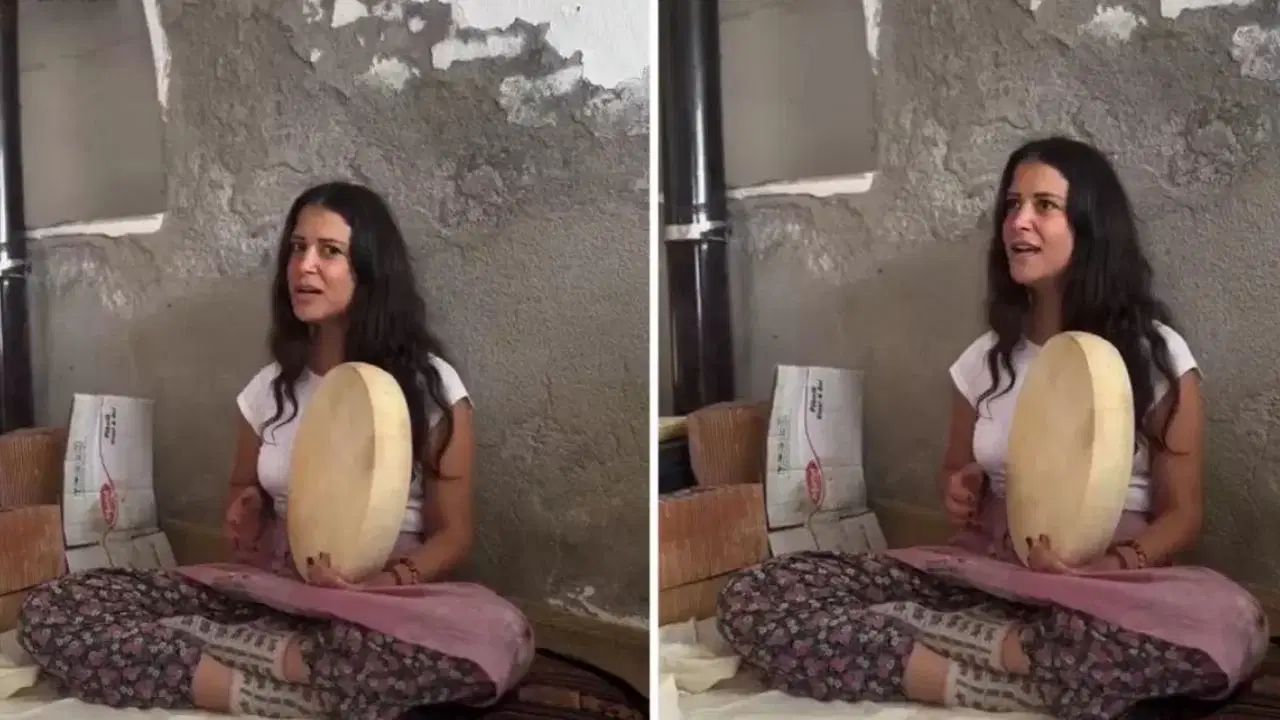 288C7221 015F 442C 805C 7F3B4Adf63D2