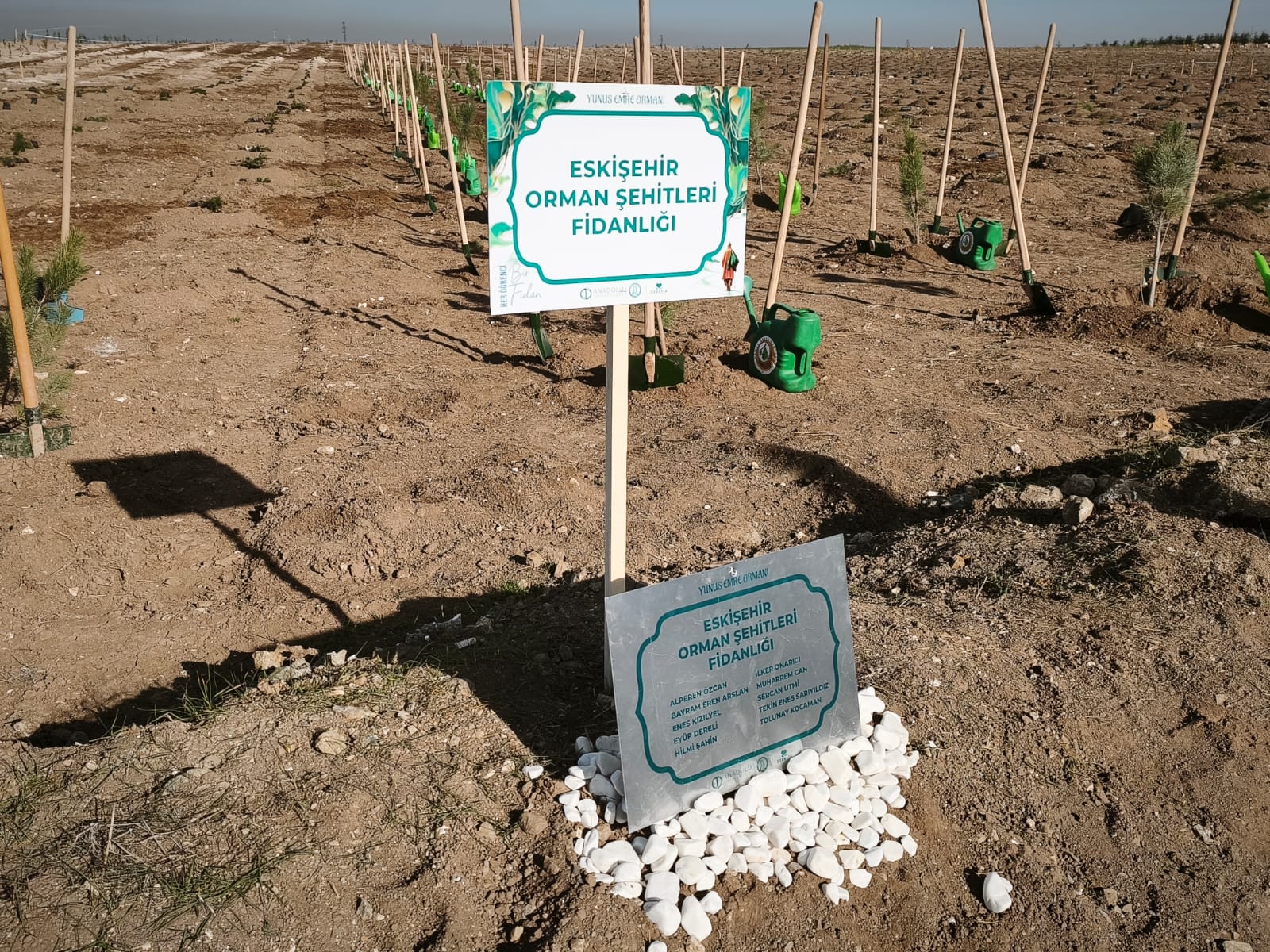 28F79B63 2894 46Cd 9Ab4 9Bc9Edae0729