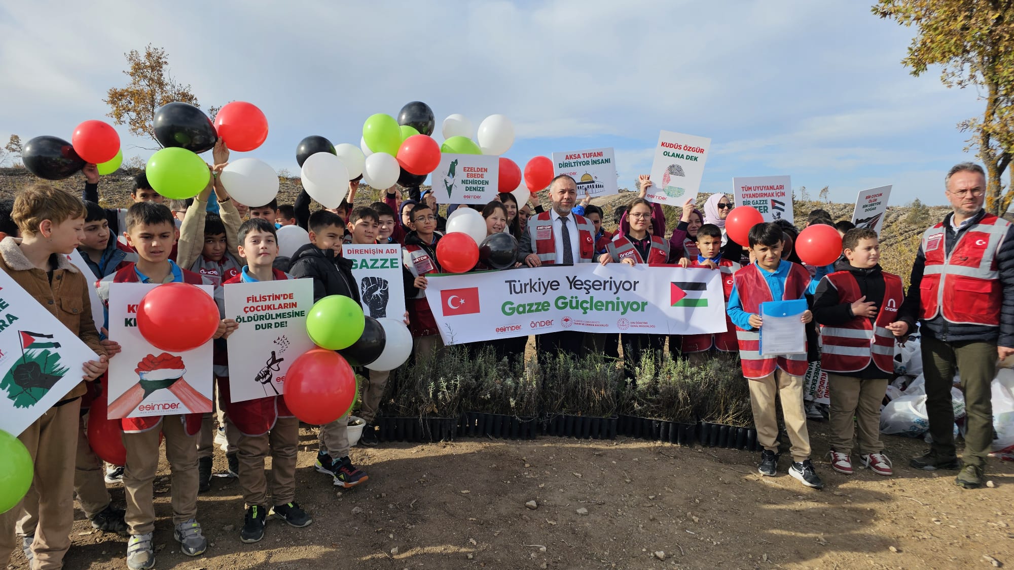 3644Cff6 Faba 41Cc 9Ec9 02Cbf21B0E1F