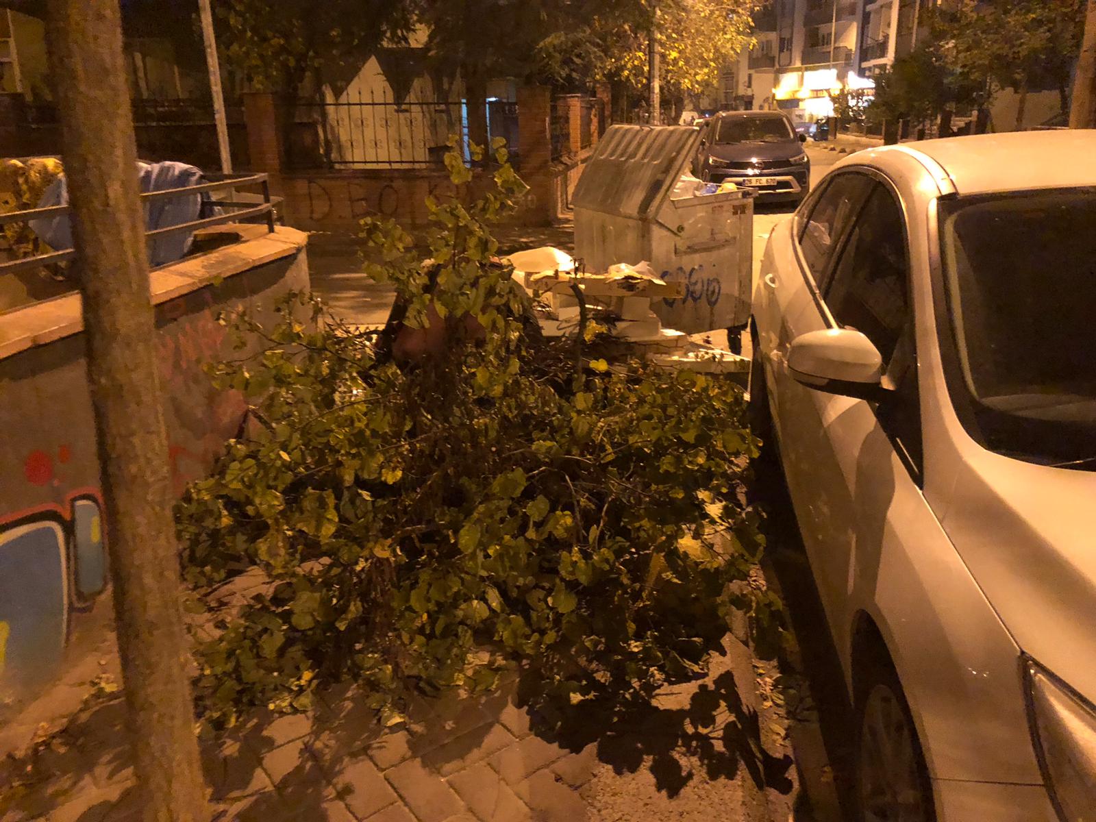 8008De67 F6B1 4394 Be21 C398Db548A92