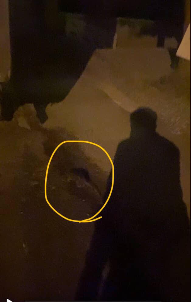 8Dd800F0 Ed24 42Fe Ac74 3B6De5B221D2