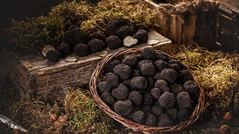 Adsız Tasarım 2025 11 25T132946.656