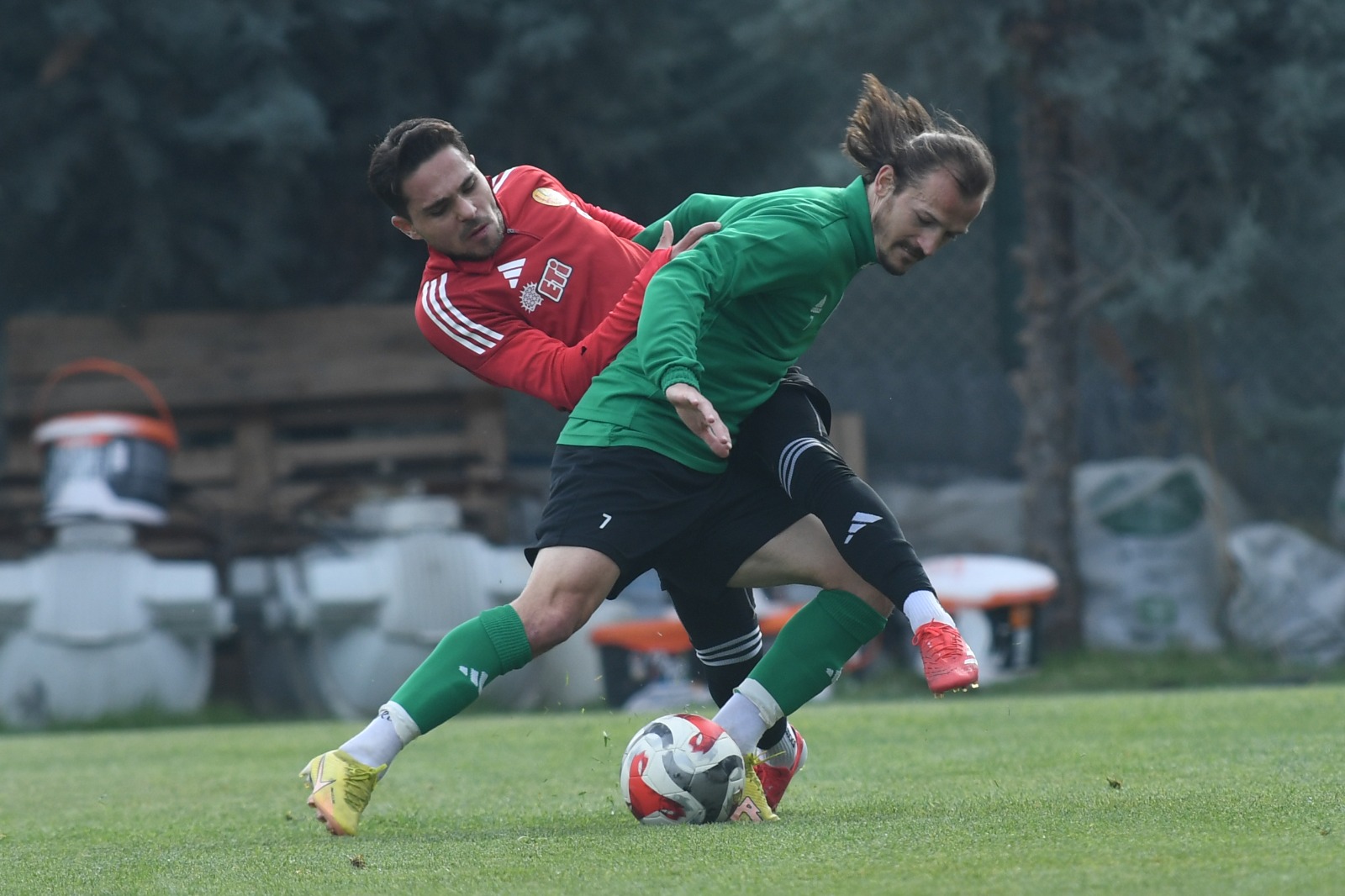 D488Bf0D E277 44F9 9938 130Ef8441E03-1