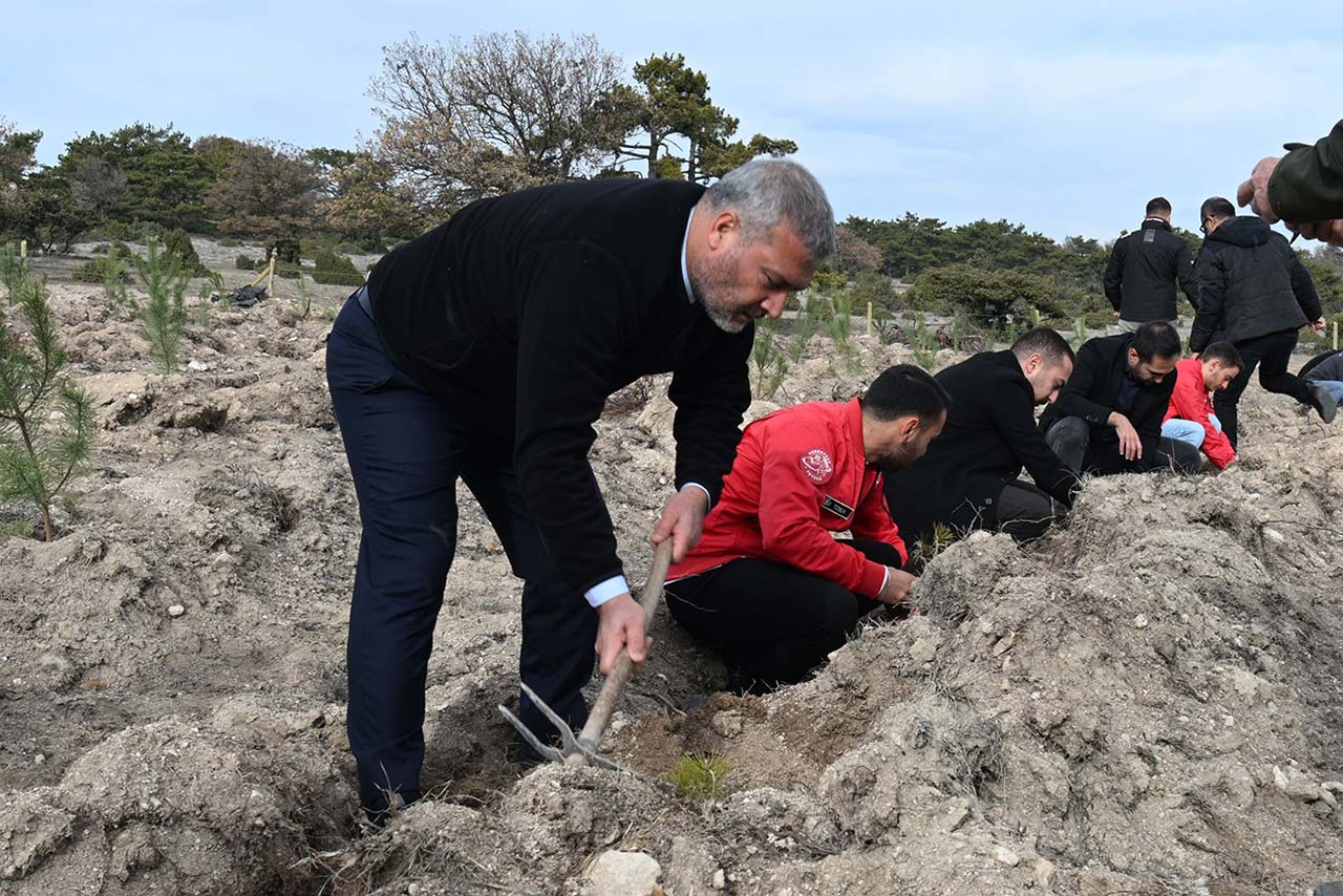 I M G 20251118 W A0021