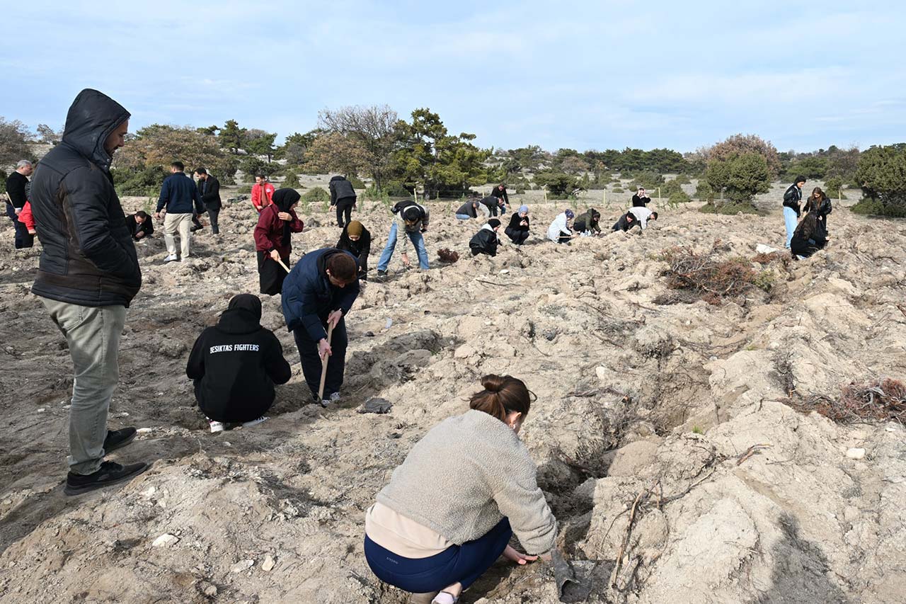 I M G 20251118 W A0022