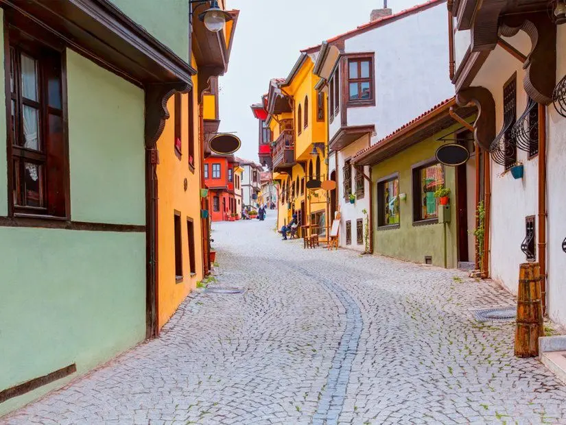 Odunpazari Evleri 36983