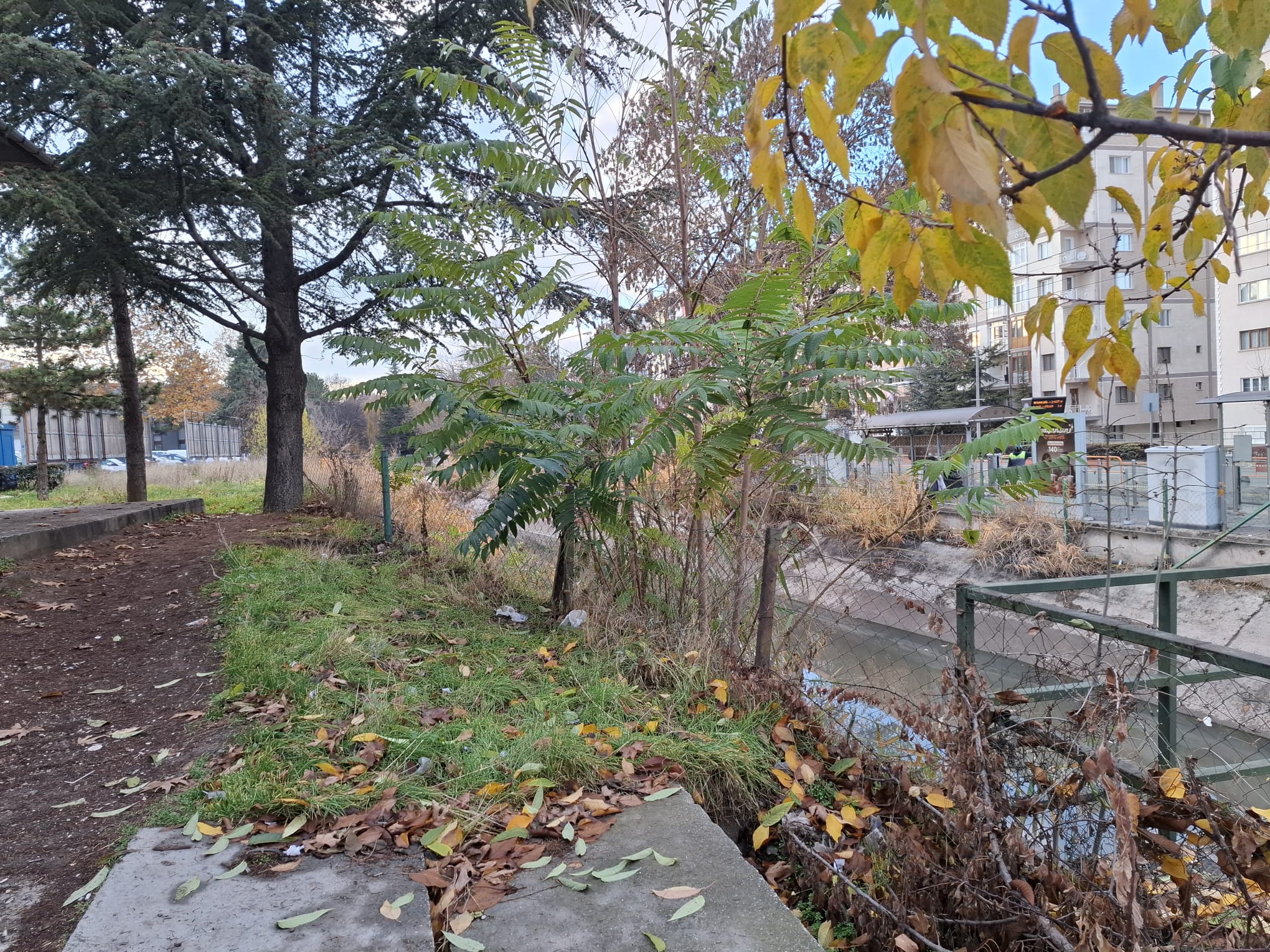 103F6F01 D24A 4616 9Ac2 12B5F122Ead8