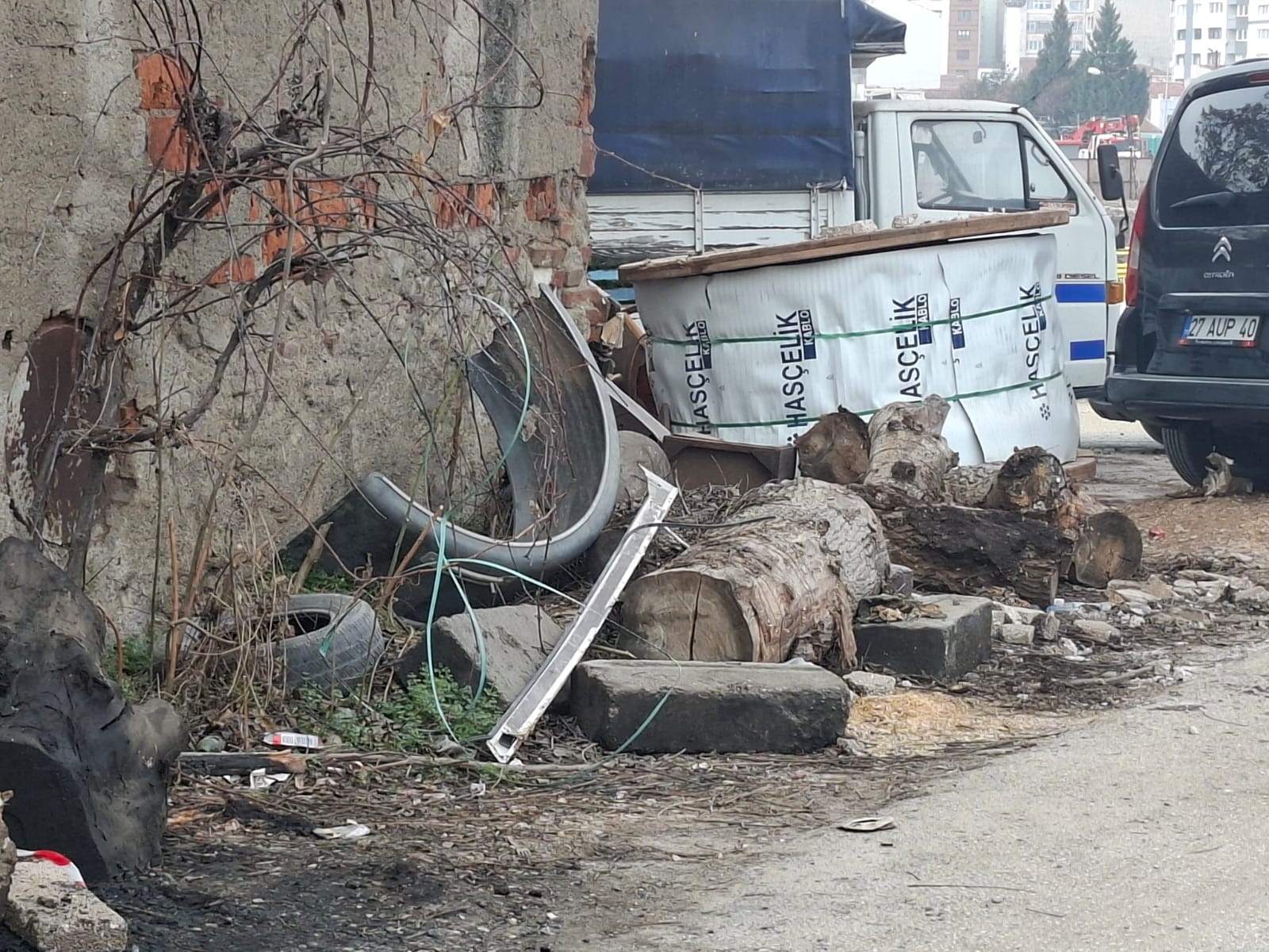 25E52880 34F6 4638 Bce5 4946763D3Da2