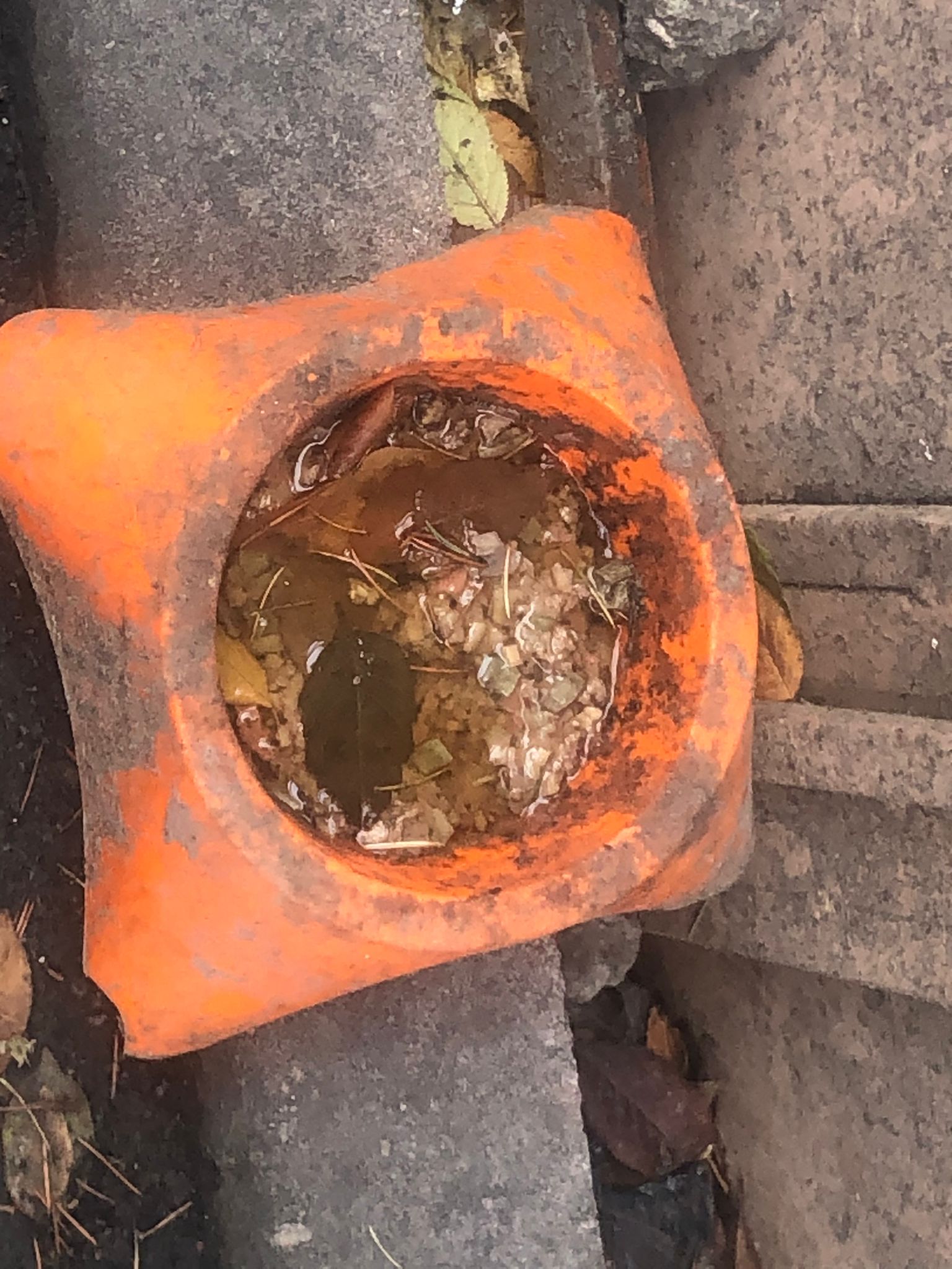 289Dc49C 4271 4686 939D 418B46166B58