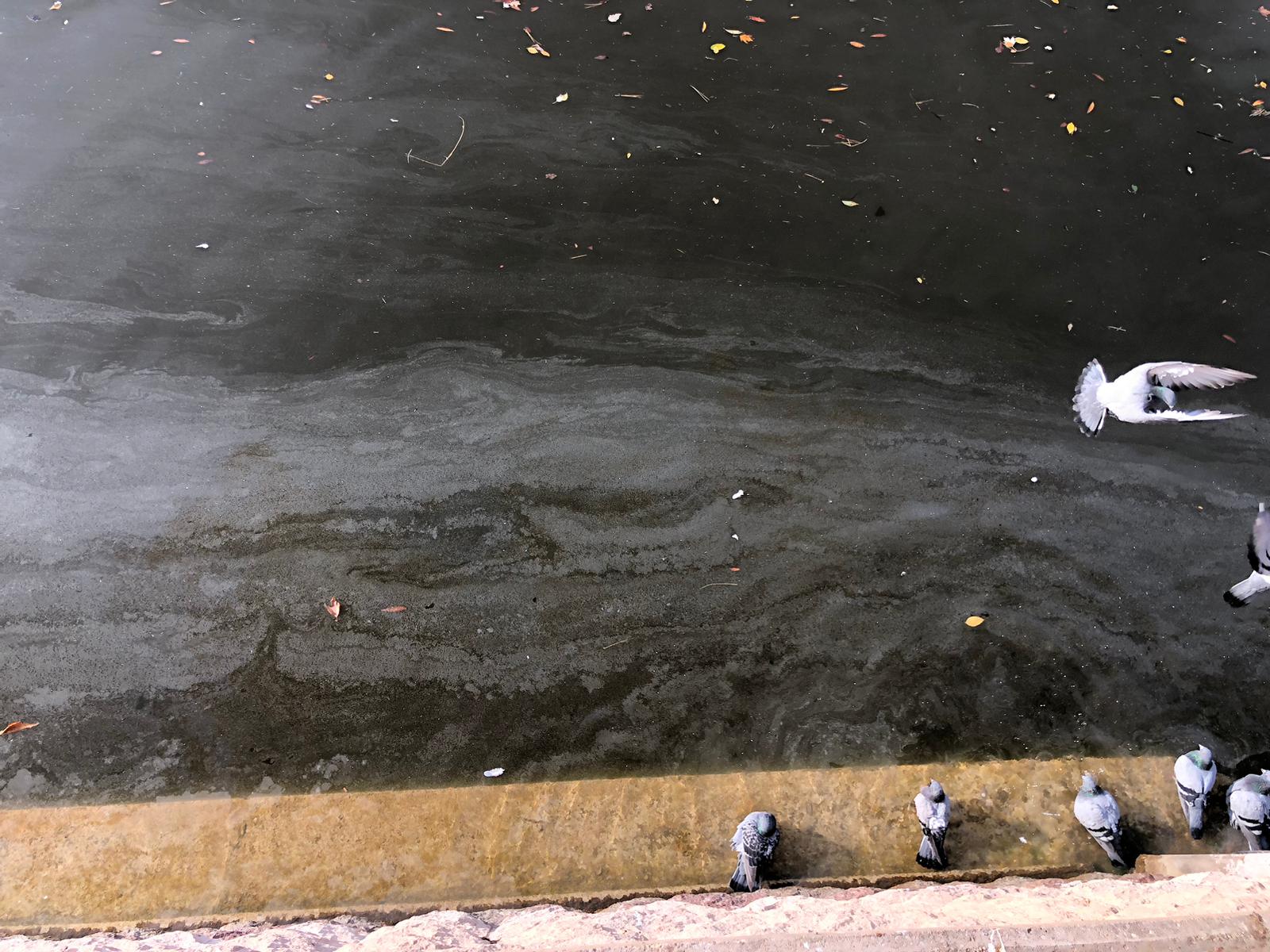 58B5C2Fd 6B9E 4955 9771 15487A458B20