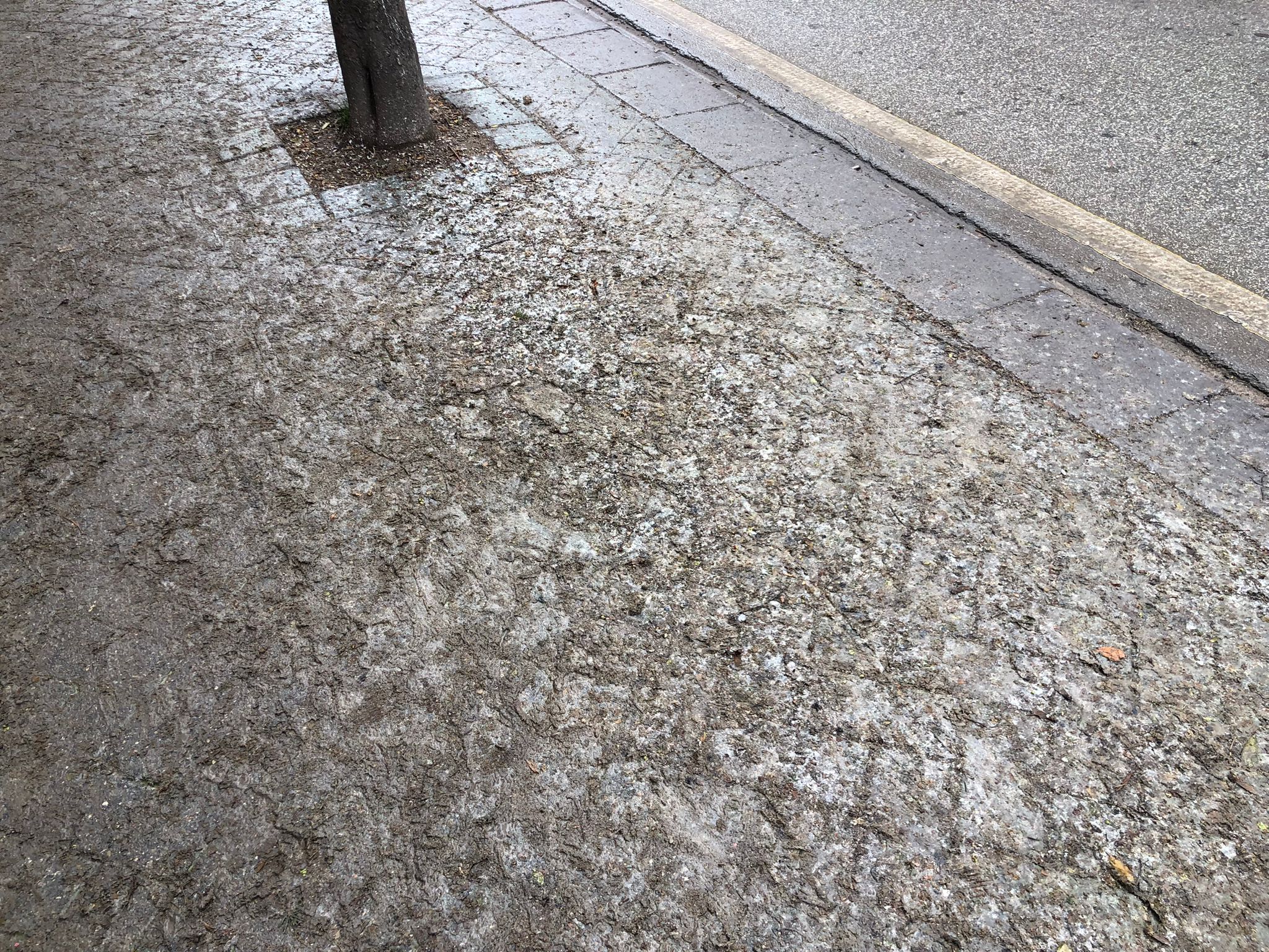 778A5046 6D0A 4Beb 8576 385371871Df7