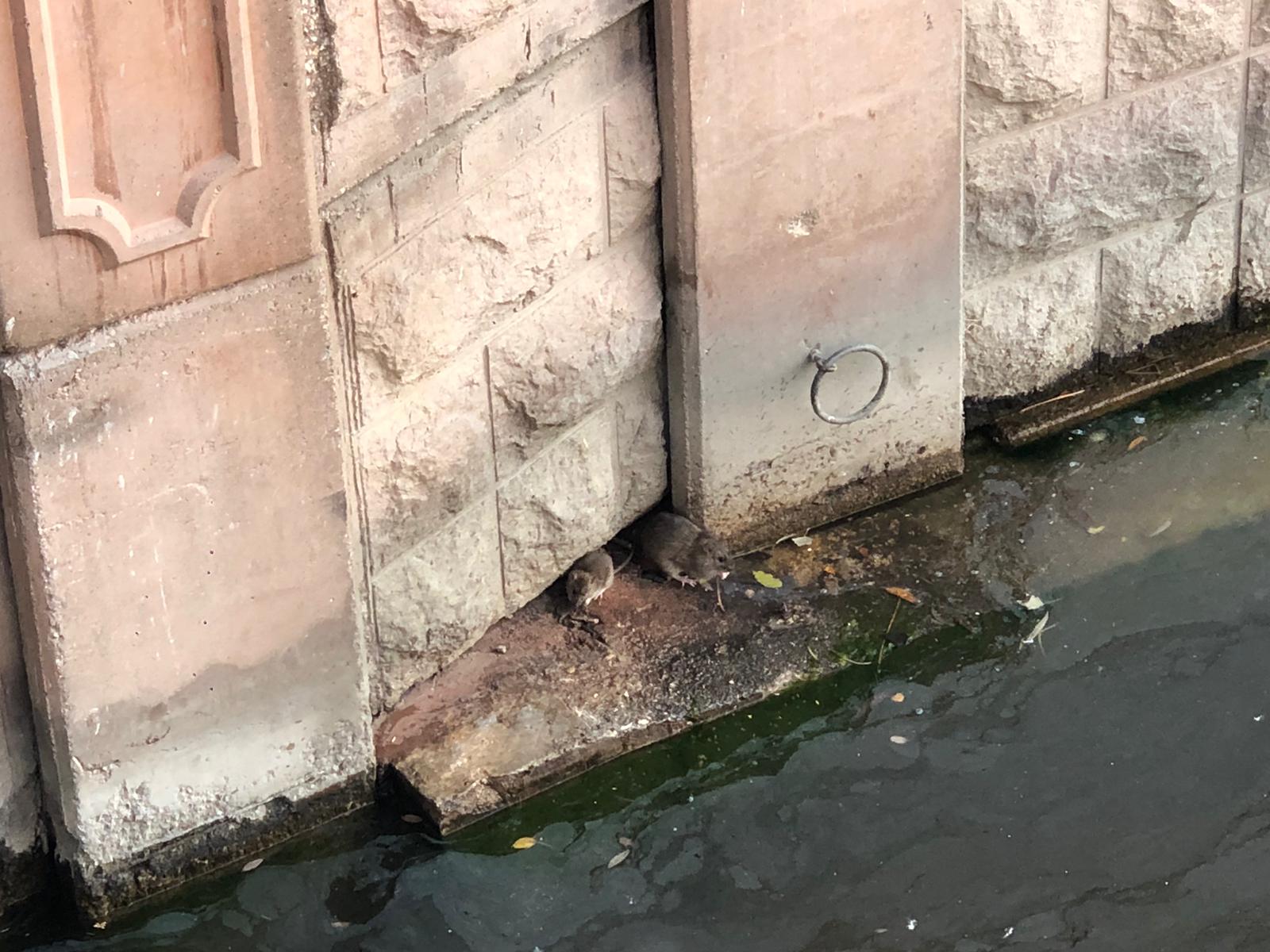 830D847D E2Bb 4Fac Aeb4 C564Eb776B93