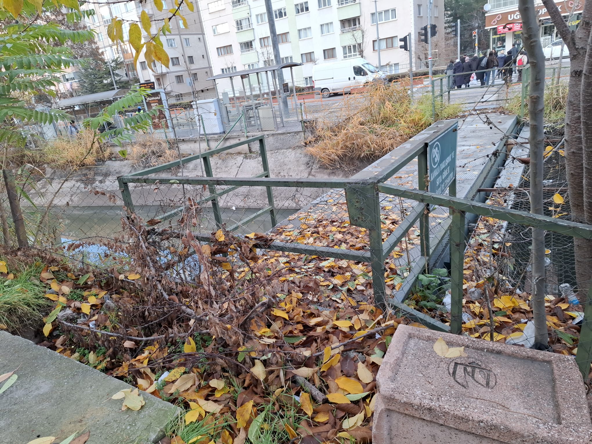 A75D8F5A 6D83 43Fe 86C2 F323982E491E