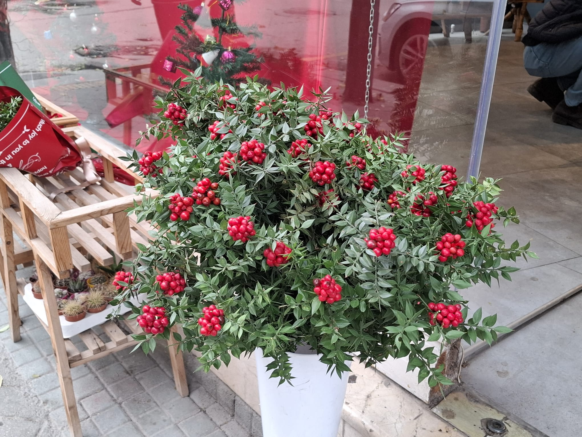 Ddcec75B 883F 463B 96Ab A724E1Cabc2A