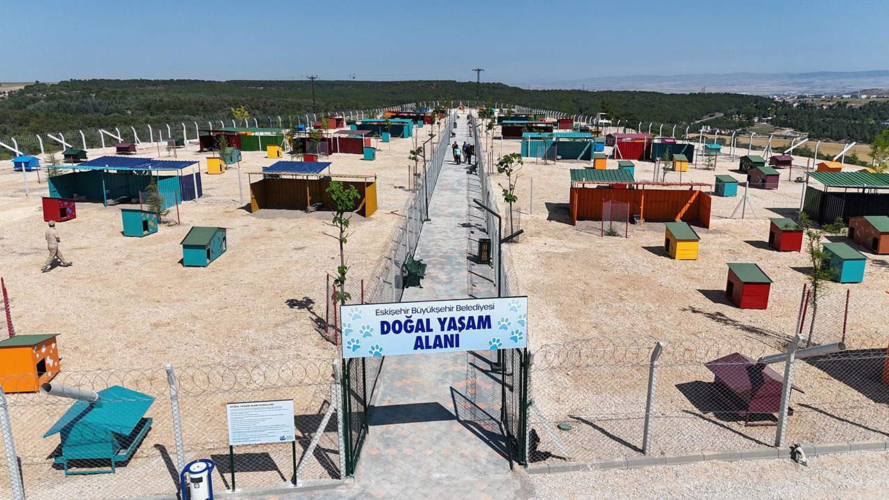 E S K İ Ş E H İ R’ D E 2025 Y E Ş İ L L E, S U Y L A V E Y A Ş A M L A B U L U Ş T U (13)