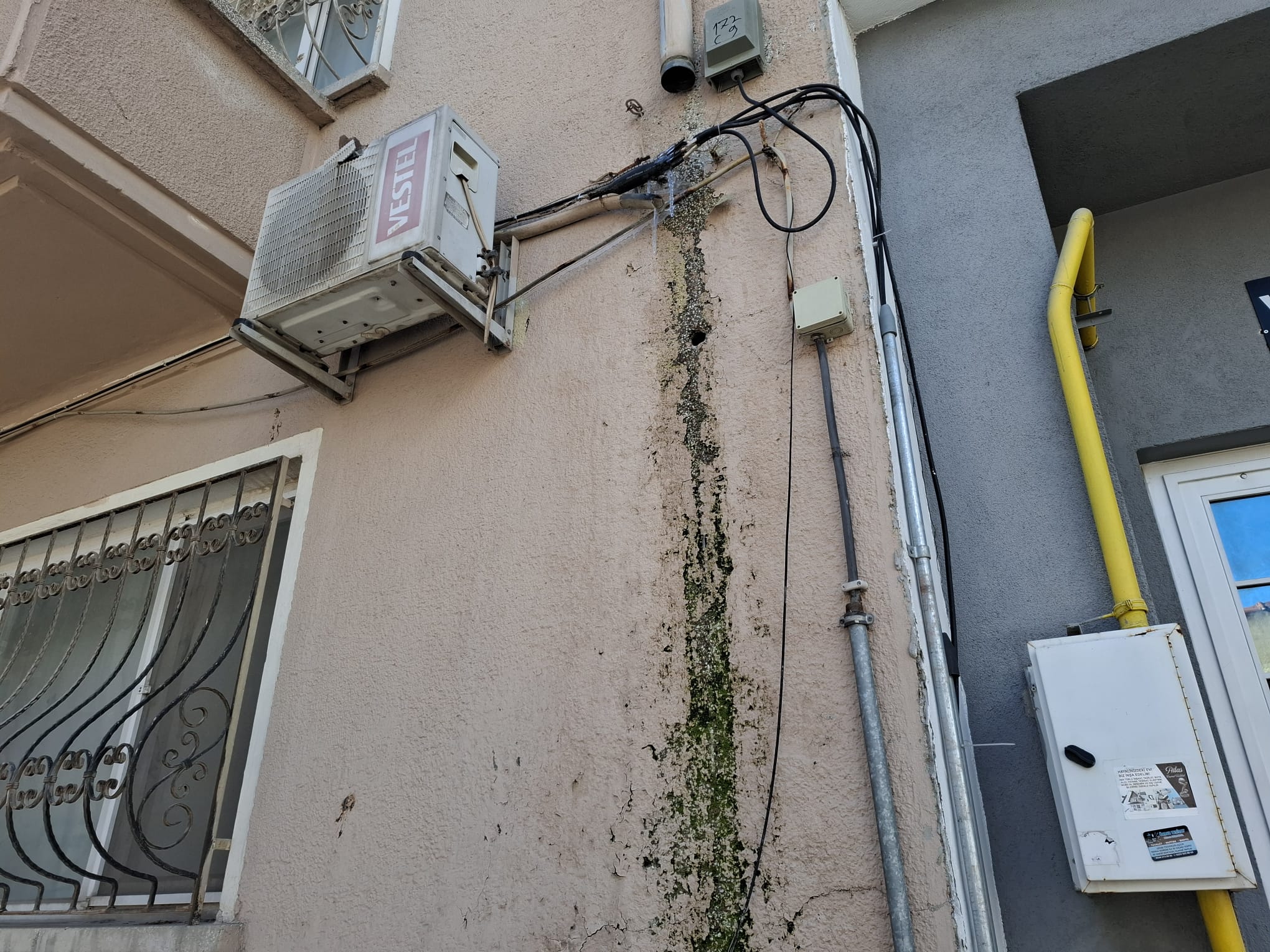 E3F6A801 3341 44D1 B4C9 D23D1C4771E6