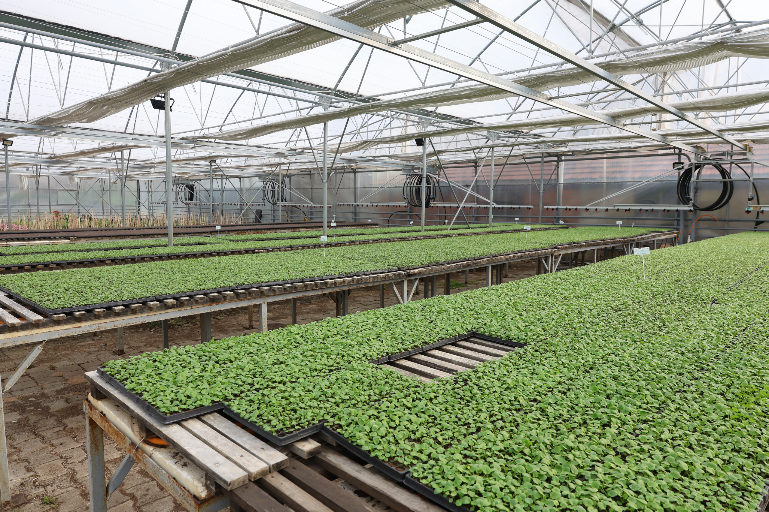 Eski̇şehi̇r Büyükşehi̇r Beledi̇yesi̇ Bi̇nlerce Çi̇çekle Şehri̇ Süsleyecek (2)