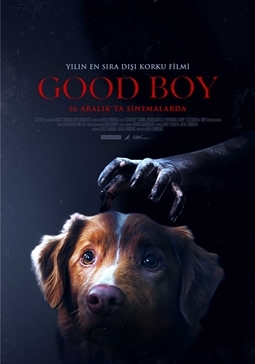 H O00007771 639005294125014285 Good Boy