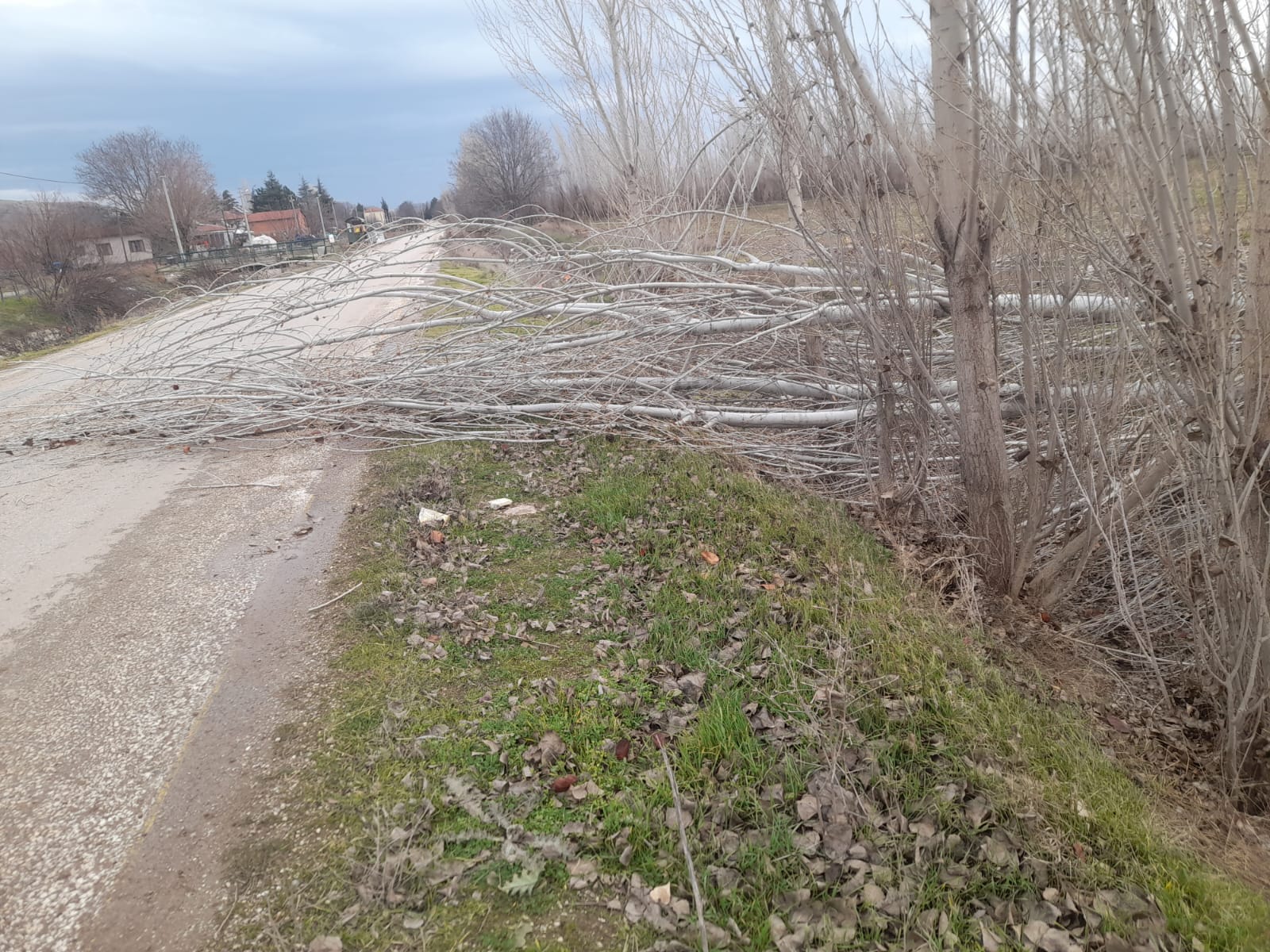 2B77021A F86C 41Da B922 D9Dc5Fd87624