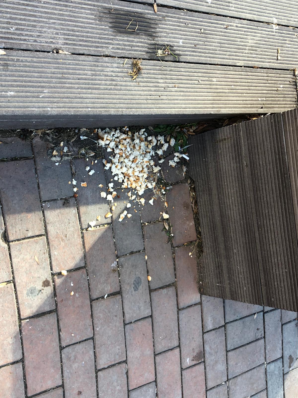 B22Ddc70 C42D 4088 B1Eb F78217C36181