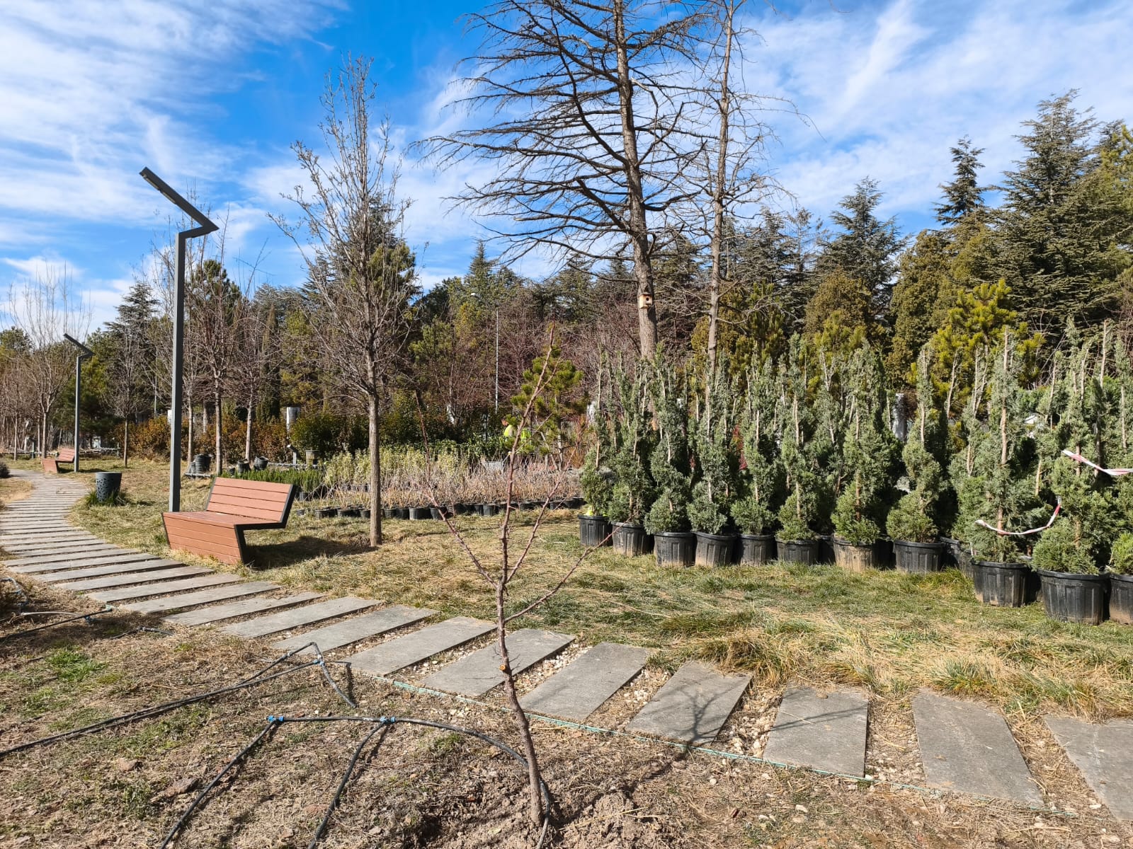 7754Cef3 0F72 411C B067 4Db8F0051C7F