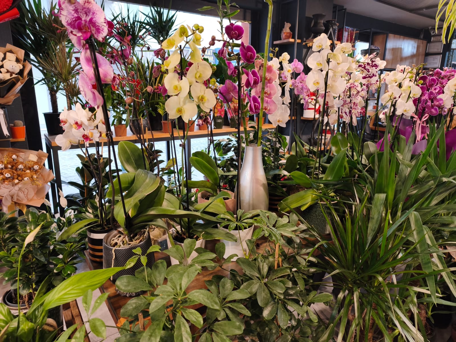 78180C48 B7Fb 461D 83Ee 3C23A6B8102E