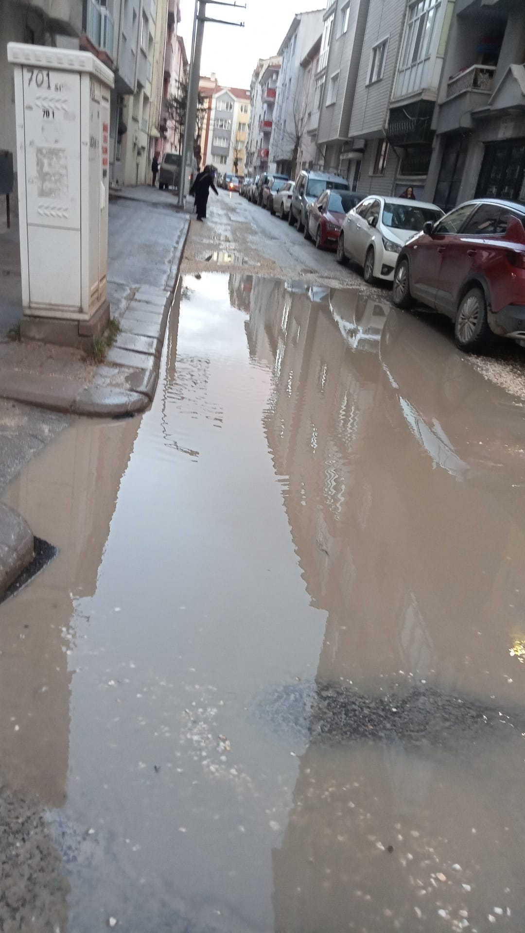 C22C9572 Cdda 4076 9Ad3 E333B67F7B15