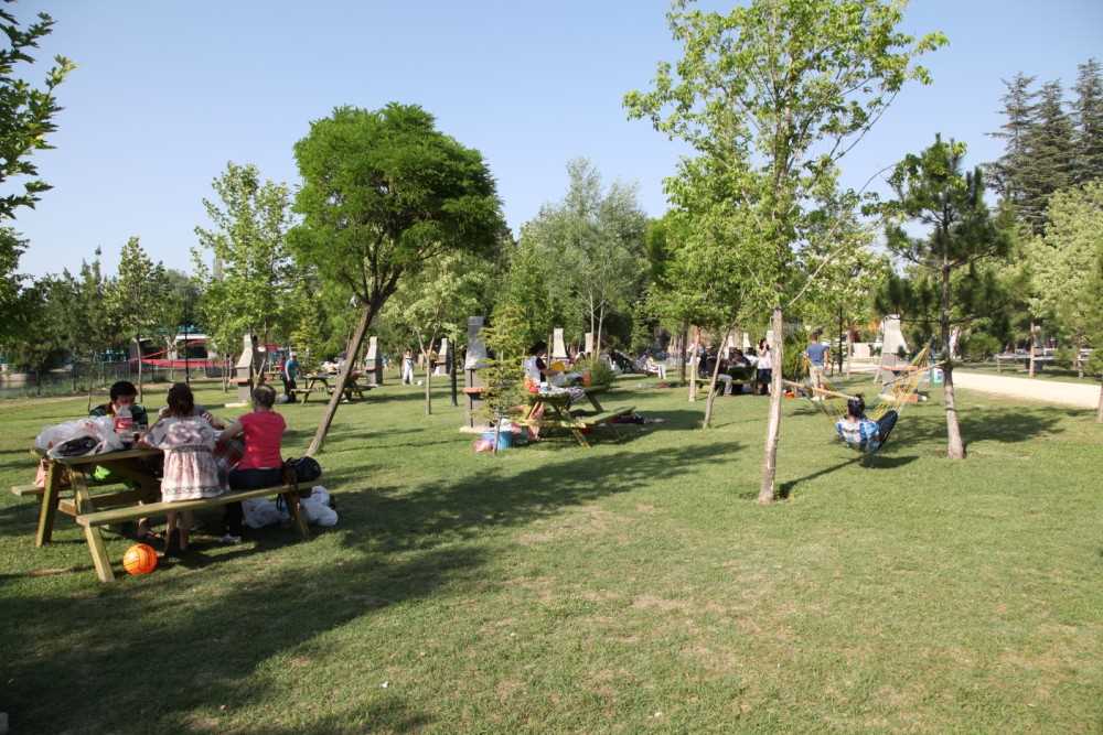 Cd01077F 0B5B 44B2 B5D2 F2Cdedc04123