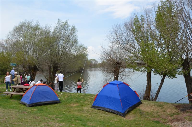 D33E51C4 4B9A 485C Af28 D8061Effe4E0