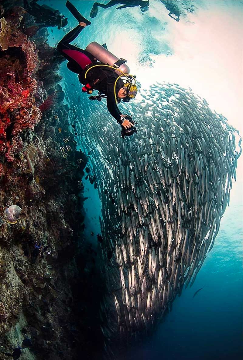 H Bqh J Da W4 A Amb0