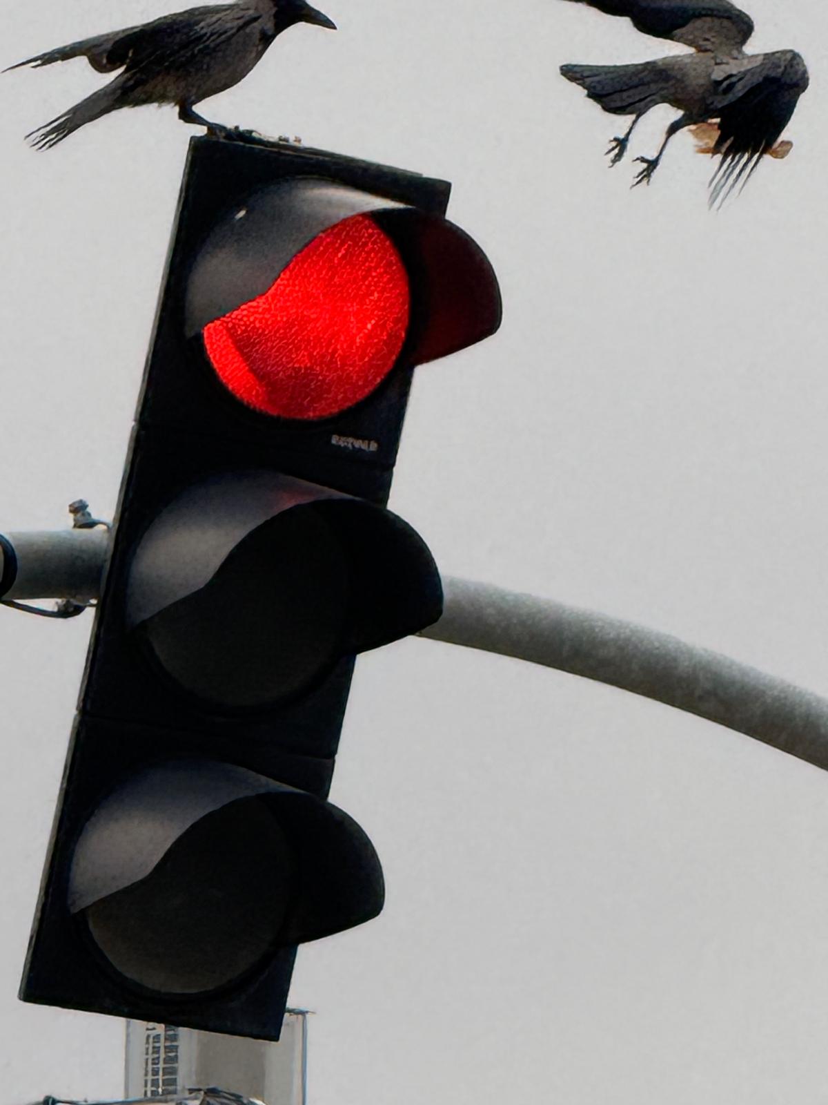 Whatsapp Image 2026 02 12 At 13.00.19