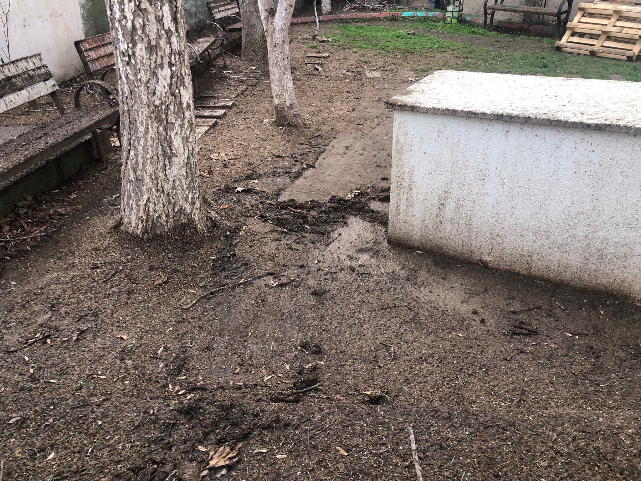 Whatsapp Image 2026 02 18 At 12.06.36 (1)