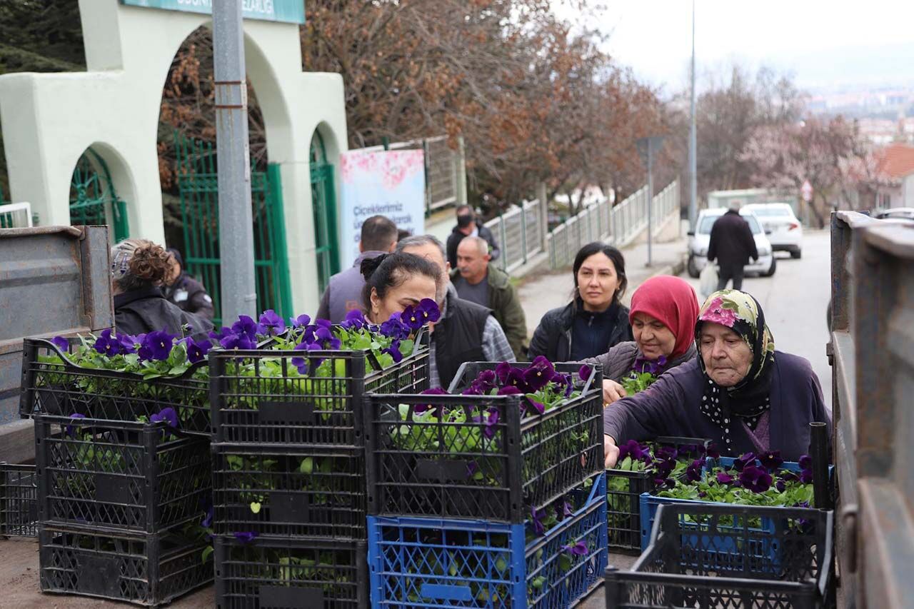 M E Z A R L I K T A Ç İ Ç E K L E R B Ü Y Ü K Ş E H İ R D E N (4)