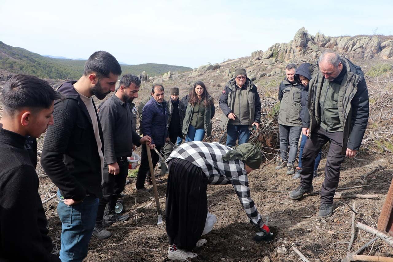 Whats App Image 2026 03 05 At 11.52.12