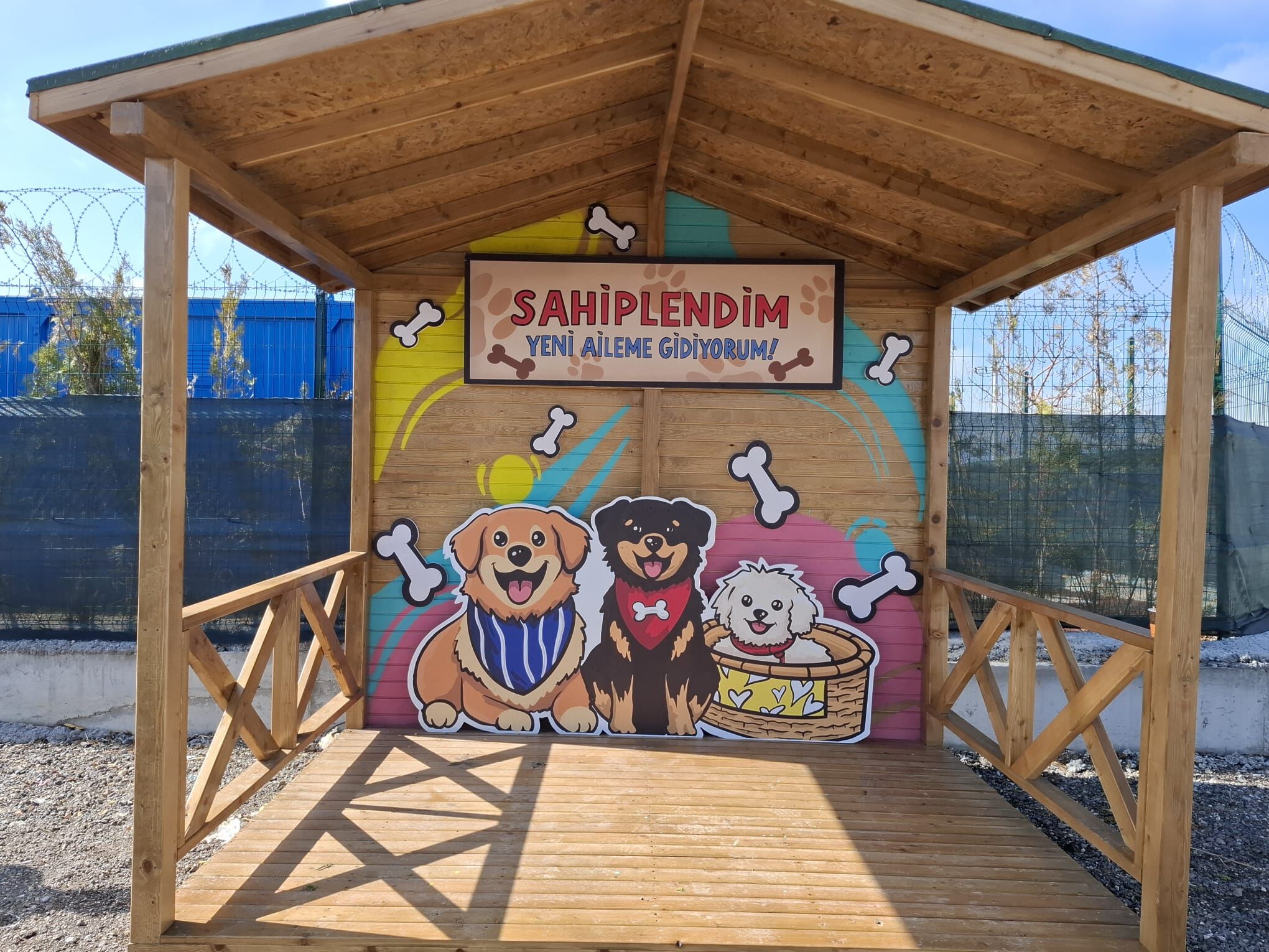 Whatsapp Image 2026 03 26 At 12.07.23