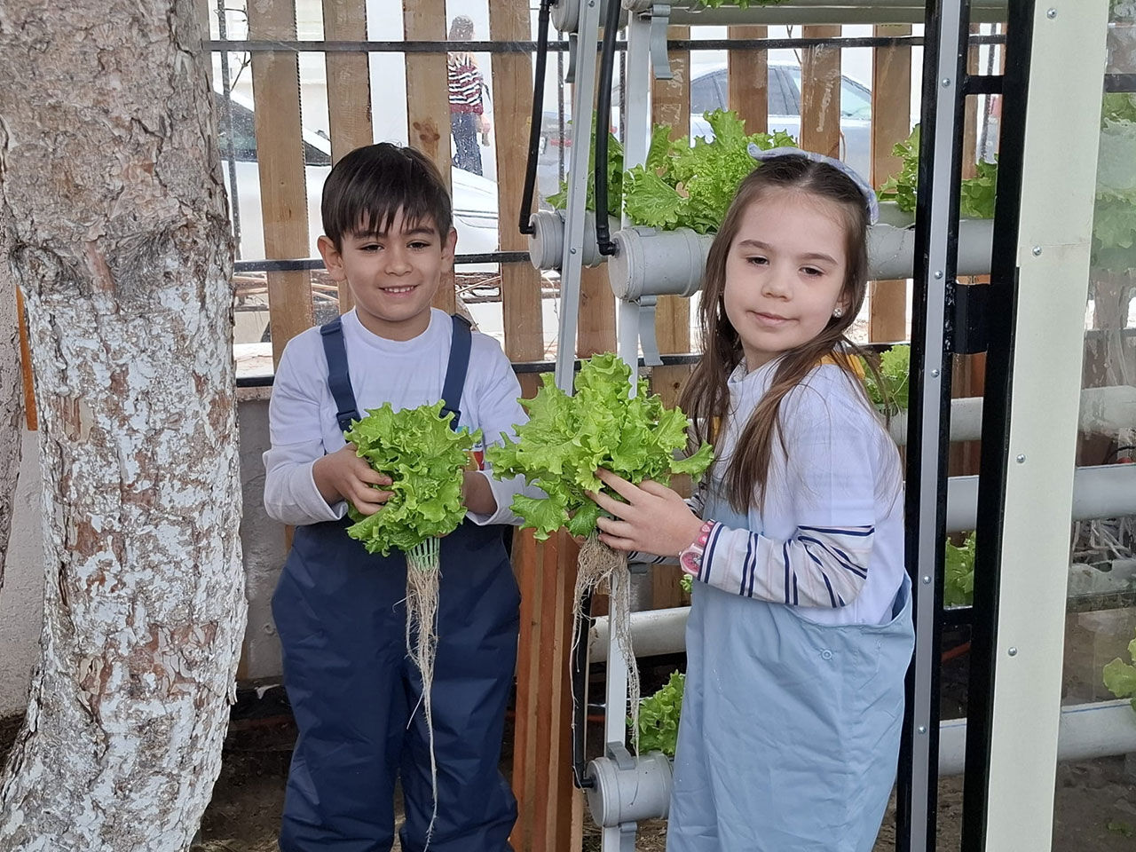 Whats App Image 2026 04 09 At 11.54.46 (1)