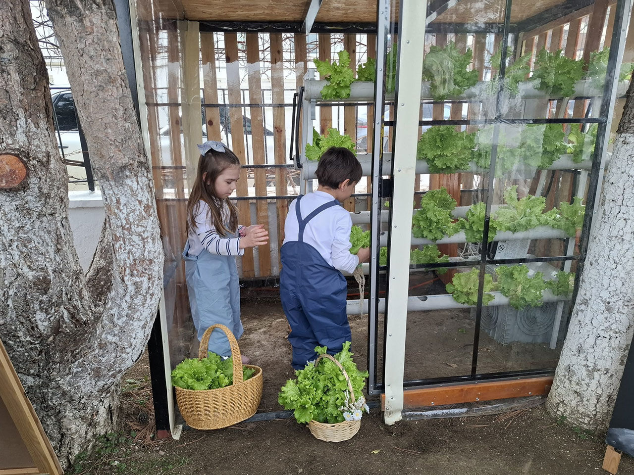 Whats App Image 2026 04 09 At 11.54.46